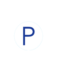 Bogg® Bit - Initial "P"