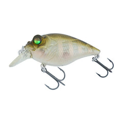 Megabass Quiet Griffon SR-X - Limited Edition