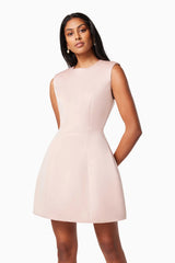 Pop Flared Mini Dress In Pink