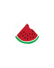 Bogg® Bit - WATERMELON