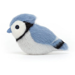 Birdling Blue Jay