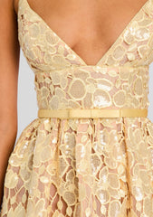 Eulalia Sequin Lace Dress