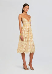 Eulalia Sequin Lace Dress