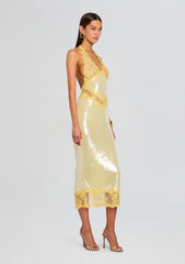 Vicky Sequin Lace Dress
