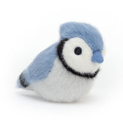 Birdling Blue Jay