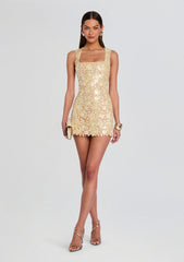 Elainy Sequin Lace Dress