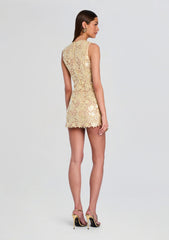 Elainy Sequin Lace Dress