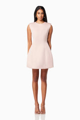 Pop Flared Mini Dress In Pink